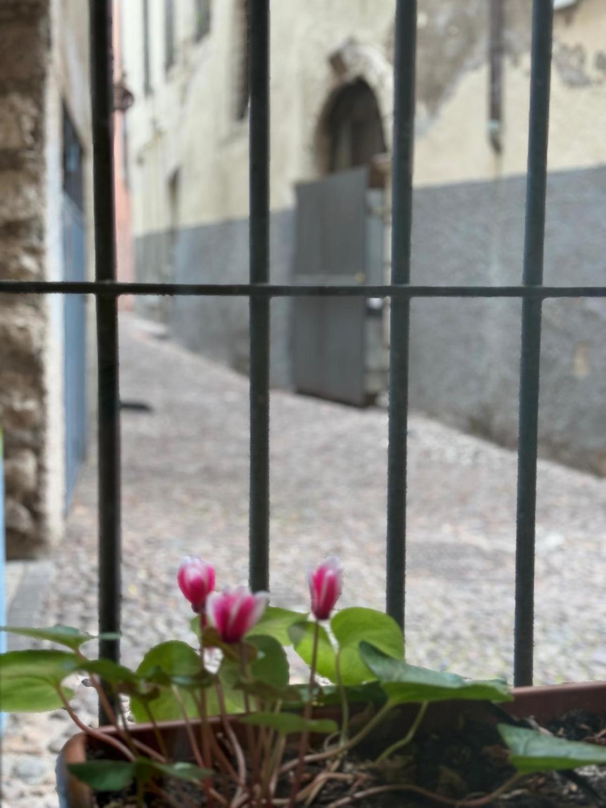 טרנטו Duomo Nest Entire Apartment מראה חיצוני תמונה